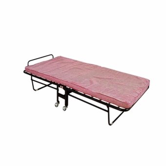 DSB Decor เตียงพับสปริงพร้อมที่นอน2นิ้ว (สีชมพู) DSB Decor เตียงพับสปริงพร้อมที่นอน2นิ้ว (สีชมพู)