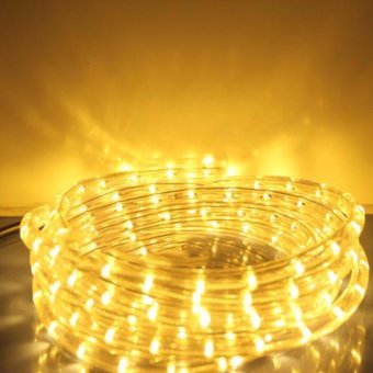 Light Farm ไฟสายยาง LED ท่อกลม 10 ม. สีวอมไวท์ (กระพริบได้) Light Farm ไฟสายยาง LED ท่อกลม 10 ม. สีวอมไวท์ (กระพริบได้)