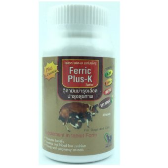 Ferric +k อาหารเสริมบำรุงเลือด สุนัข และแมว บรรจุ 40 เม็ด Ferric +k อาหารเสริมบำรุงเลือด สุนัข และแมว บรรจุ 40 เม็ด
