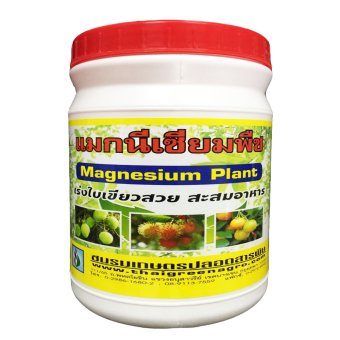 THAIGREENAGRO ไทยกรีนอะโกร THAIGREEN SHOP สินค้าการเกษตร แมกนีเซียมพืช -TM บำรุงพืช สร้างคลอโรฟิลล์ THAIGREENAGRO ไทยกรีนอะโกร THAIGREEN SHOP สินค้าการเกษตร แมกนีเซียมพืช -TM บำรุงพืช สร้างคลอโรฟิลล์