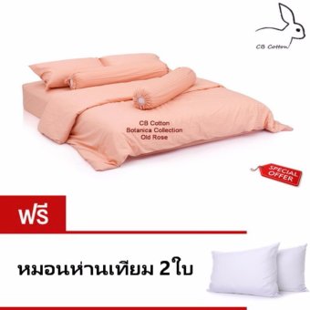 CB Cotton ชุดผ้าปูที่นอน 1000เส้น เกรดโรงแรม 5 ดาว กันไรฝุ่น ขนาด 6 ฟุต ยกเซ็ท 8 ชิ้น พร้อมผ้ารองกันเปื้อนกันน้ำซึม คละสี ( สีตามรูป ) พร้อมแถมฟรี หมอนห่านเทียม 2ใบ รวม ทั้งหมด 10ชิ้น CB Cotton ชุดผ้าปูที่นอน 1000เส้น เกรดโรงแรม 5 ดาว กันไรฝุ่น ขนาด 6 ฟุต ยกเซ็ท 8 ชิ้น พร้อมผ้ารองกันเปื้อนกันน้ำซึม คละสี ( สีตามรูป ) พร้อมแถมฟรี หมอนห่านเทียม 2ใบ รวม ทั้งหมด 10ชิ้น