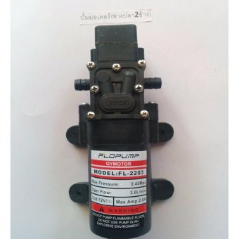 ปั้มถังพ่นยา/พ่นหมอก/ปั๊มโซล่าเซลล์ DC 12V (หางปลา 2 ข้าง) ปั้มถังพ่นยา/พ่นหมอก/ปั๊มโซล่าเซลล์ DC 12V (หางปลา 2 ข้าง)