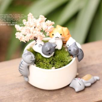 DIY ตุ๊กตาแมวตกแต่งสวนจิ๋ว ตุ๊กตาจิ๋ว (เซ็ต 6 ชิ้น) TNA037 DIY ตุ๊กตาแมวตกแต่งสวนจิ๋ว ตุ๊กตาจิ๋ว (เซ็ต 6 ชิ้น) TNA037