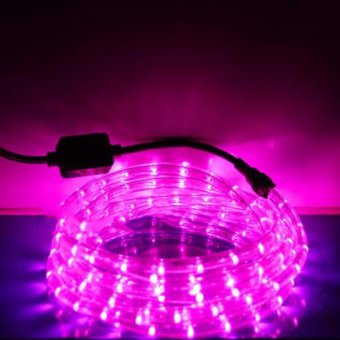 Light Farm ไฟสายยาง LED ท่อกลม 10 ม. สีชมพู (กระพริบได้) Light Farm ไฟสายยาง LED ท่อกลม 10 ม. สีชมพู (กระพริบได้)