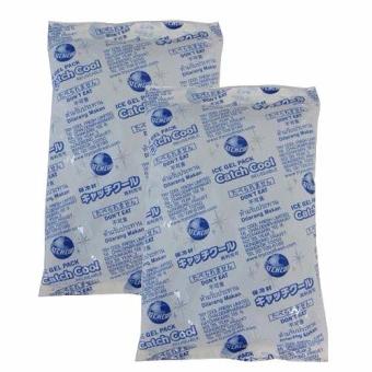 Ice Gel Pack เจลเก็บรักษาความเย็น 14x22cm 400g จำนวน 2 ชิ้น Ice Gel Pack เจลเก็บรักษาความเย็น 14x22cm 400g จำนวน 2 ชิ้น