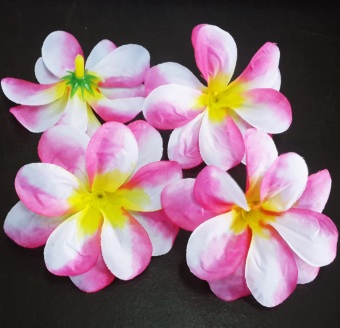 Dokpikul-หัวดอกลีลาวดี ดอกไม้ผ้า ประดิษฐ์ ขนาดเส้นผ่าศูนย์กลาง 8 ซม แพค 100ดอก .-สีชมพูสไลด์ Dokpikul-หัวดอกลีลาวดี ดอกไม้ผ้า ประดิษฐ์ ขนาดเส้นผ่าศูนย์กลาง 8 ซม แพค 100ดอก .-สีชมพูสไลด์