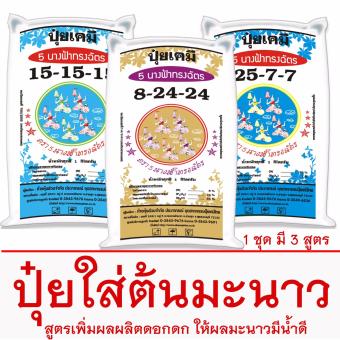 ปุ๋ยเคมี ใส่ต้นมะนาว ตรา 5 นางฟ้าทรงฉัตร 1 ชุดมี 3 สูตร (เร่งต้น,เร่งดอก,บำรุงผล) ปุ๋ยเคมี ใส่ต้นมะนาว ตรา 5 นางฟ้าทรงฉัตร 1 ชุดมี 3 สูตร (เร่งต้น,เร่งดอก,บำรุงผล)