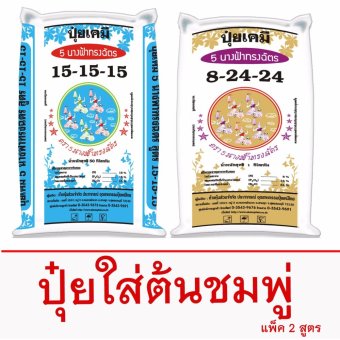 ปุ๋ยเคมีใส่ต้นชมพู่ ตรา 5 นางฟ้าทรงฉัตร จำนวน 1 ชุด ปุ๋ยเคมีใส่ต้นชมพู่ ตรา 5 นางฟ้าทรงฉัตร จำนวน 1 ชุด