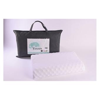 bestvalue หมอนยางพาราธรรมชาติ 100% - รุ่น PT3 bestvalue หมอนยางพาราธรรมชาติ 100% - รุ่น PT3
