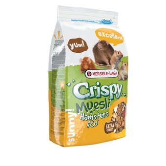 Versele อาหารแฮมสเตอร์สูตรประหยัด คริสปี้ แฮมสเตอร์ Crispy Muesli Hamster&Co. Hamster Food 1 Kg. Versele อาหารแฮมสเตอร์สูตรประหยัด คริสปี้ แฮมสเตอร์ Crispy Muesli Hamster&Co. Hamster Food 1 Kg.
