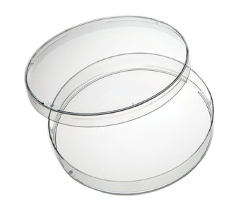 Sterile plastic petri dishes จานเพาะเชื้อพลาสติก ปลอดเชื้อ ขนาดเส้นผ่าศูนย์กลาง 9 cm แพ็คละ 10 คู่ จำนวน 3 แพ็ค Sterile plastic petri dishes จานเพาะเชื้อพลาสติก ปลอดเชื้อ ขนาดเส้นผ่าศูนย์กลาง 9 cm แพ็คละ 10 คู่ จำนวน 3 แพ็ค