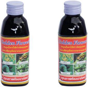 Golden Flower Herbal Insect สมุนไพรกำจัดแมลง และ ศัตรูพืช สูตรเข้มข้นชนิดน้ำ 150ซีซี (2ขวด) Golden Flower Herbal Insect สมุนไพรกำจัดแมลง และ ศัตรูพืช สูตรเข้มข้นชนิดน้ำ 150ซีซี (2ขวด)