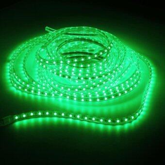 LEDANDLAMP ไฟเส้น LED ROPE LIGHT ฟรีปลั๊กยาว 8 มิลลิเมตร 2 เส้น ( แสงสีเขียว ) LEDANDLAMP ไฟเส้น LED ROPE LIGHT ฟรีปลั๊กยาว 8 มิลลิเมตร 2 เส้น ( แสงสีเขียว )