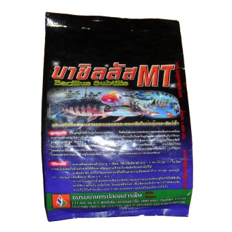 THAIGREENAGRO บาซิลลัส MT (ไทยกรีนอะโกร THAIGREEN SHOP สินค้าการเกษตร จุลินทรีย์การเกษตรย่อยสลายขี้เลน ของเสียที่พืชบ่อ กุ้งปลาหายใจสบายไม่ขาดอ๊อกซิเจน) THAIGREENAGRO บาซิลลัส MT (ไทยกรีนอะโกร THAIGREEN SHOP สินค้าการเกษตร จุลินทรีย์การเกษตรย่อยสลายขี้เลน ของเสียที่พืชบ่อ กุ้งปลาหายใจสบายไม่ขาดอ๊อกซิเจน)