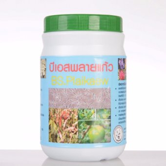 จุลินทรีย์ บีเอสพลายแก้ว กำจัดโรคพืชที่เกิดจากเชื้อรา ขนาด 500 กรัม จุลินทรีย์ บีเอสพลายแก้ว กำจัดโรคพืชที่เกิดจากเชื้อรา ขนาด 500 กรัม