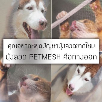 Pet Mesh Mini-Roll (91cm X 2m.) มุ้งลวดทนสัตว์เลี้ยงมุ้งลวดสำหรับบานประตู หน้าต่าง **สีเทา** June 2018 - 3 Pet Mesh Mini-Roll (91cm x 2m.) มุ้งลวดทนสัตว์เลี้ยงมุ้งลวดสำหรับบานประตู หน้าต่าง **สีเทา** - 3