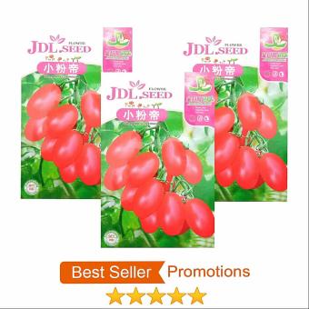 เมล็ดพืช Seeds เมล็ดมะเขือเทศเชอร์รี่แดง เมล็ดพันธุ์ คุณภาพ 3 ซอง /ชุด 60เมล็ด เมล็ดพืช Seeds เมล็ดมะเขือเทศเชอร์รี่แดง เมล็ดพันธุ์ คุณภาพ 3 ซอง /ชุด 60เมล็ด