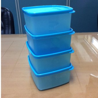 ต้องการขายด่วน Tupperware กล่องเหมันต์เล็ก สีฟ้า (4) ขายด่วน Tupperware กล่องเหมันต์เล็ก สีฟ้า (4)