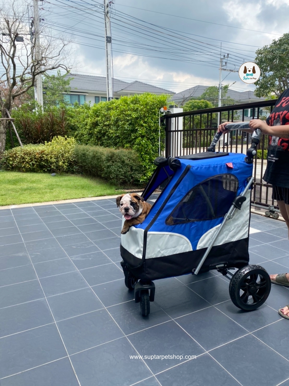 large dog stroller Large dog stroller, dog stroller, cat stroller, large dog stroller Tongba BL06A, weight capacity 35-40 kg., strong, wide seat, foldable. ราคา 4,699 บาท*ส่งฟรี