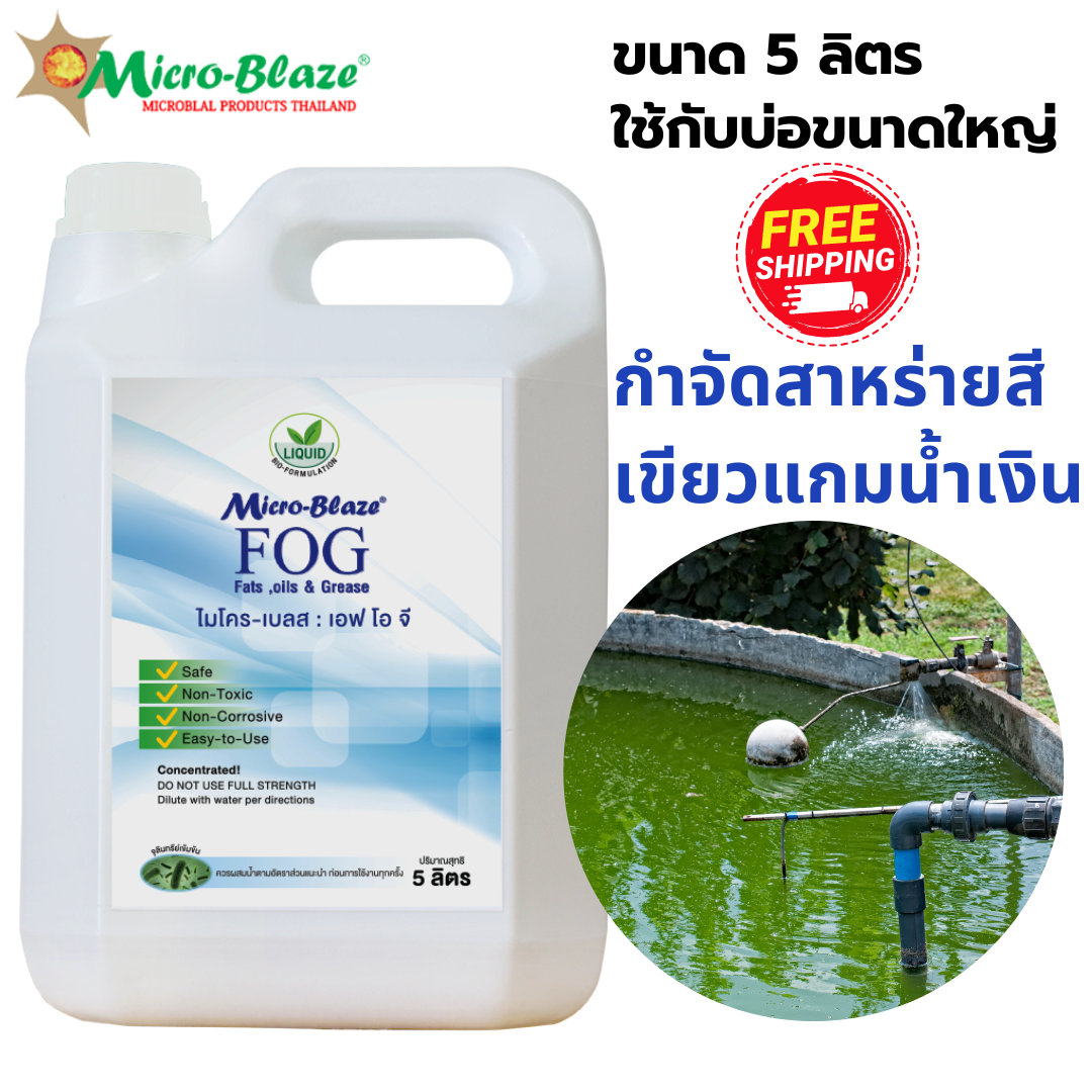 Micro-Blaze F.O.G ราคา 6,700 บาท*ส่งฟรี