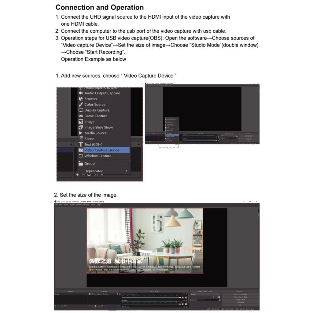grabbee software video capture