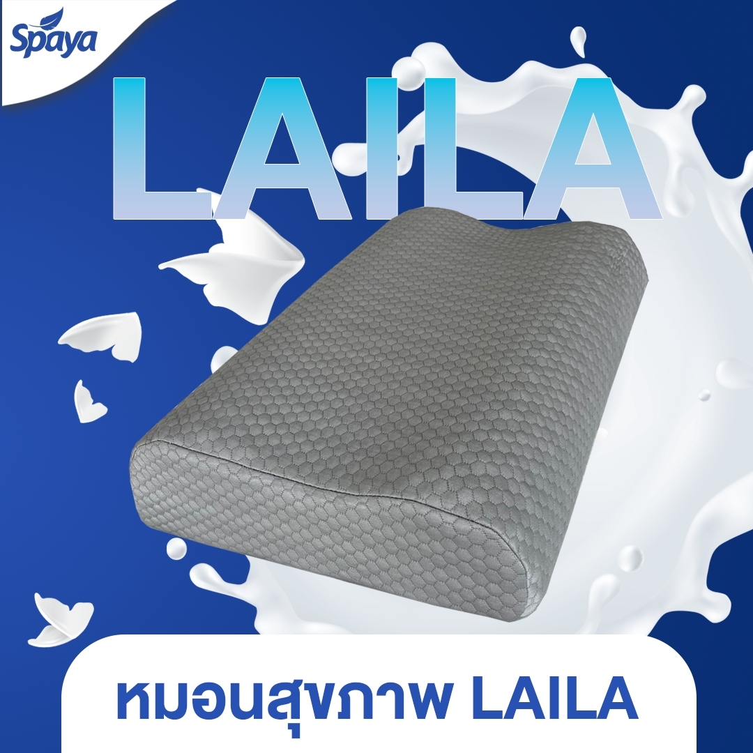สินค้าใหม่มาแรง SPAYA หมอนสุขภาพ รุ่นLaila หุ้มผ้าCool Temp สีเทา โปรไฟล์รังไข่ หมอนโค้งรับต้นคอ หมอนหนุนนอนสบาย หมอนสำหรับคนรักสุขภาพ ราคา 890 บาท*ส่งฟรี
