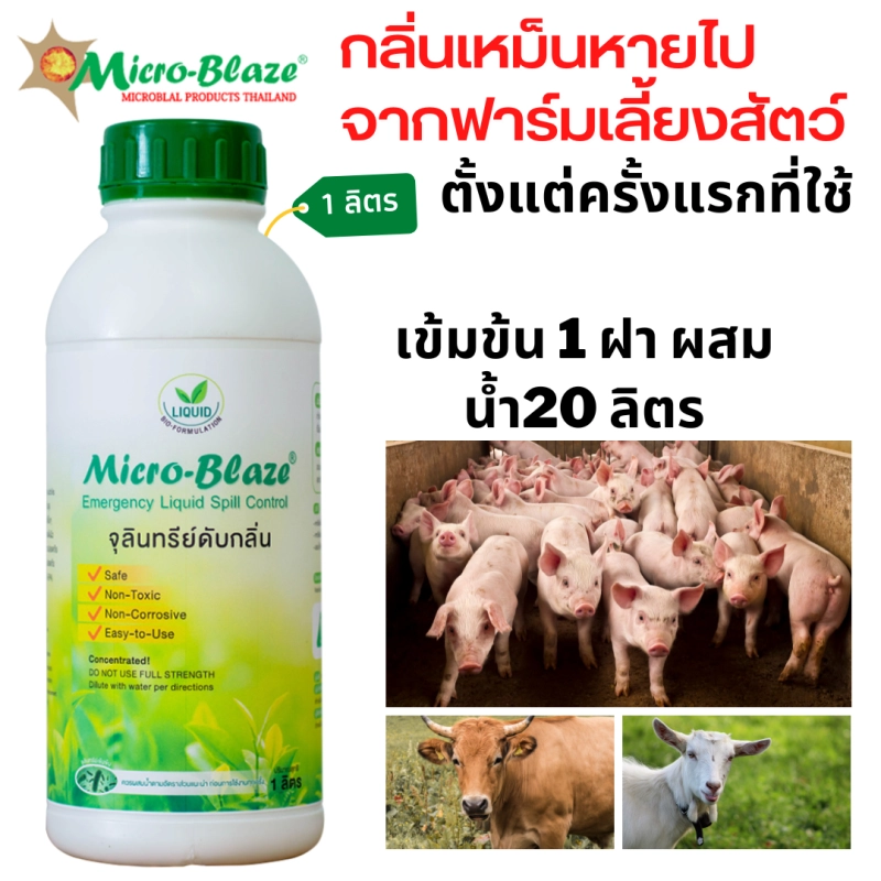 ภาพหน้าปกสินค้าMicro-Blaze ขวด 1 ลิตร ดับกลิ่นเหม็น เห็นผล กลิ่นเหม็นไอันไม่พึงประสงค์ จากมูลสัตว์ กลิ่นสาบ กลิ่นฉี่ช่วยล้างคราบสกปรกดีเยียม ส่งฟรี จากร้าน Micro-Blaze บน Lazada