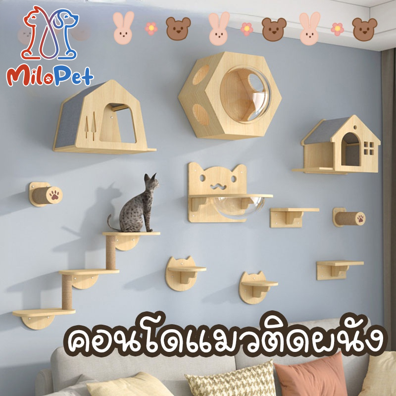คอนโดแมวติดผนัง อะไหล่คอนโดแมว แข็งแรงทนทาน ส่วนผสมที่ลงตัว ราคา 3,754 บาท*ส่งฟรี