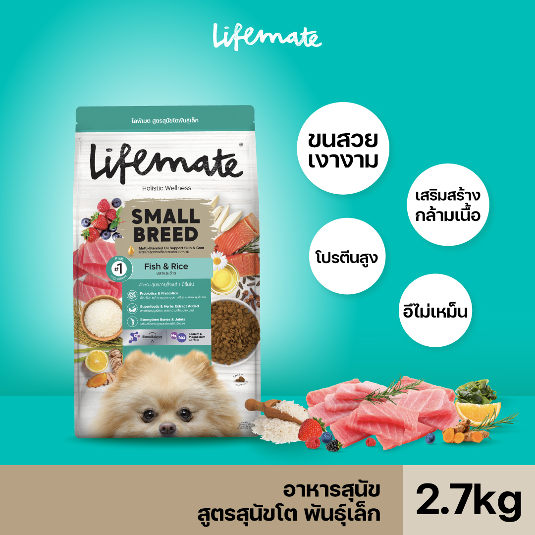 Lifemate Small Breed อาหารเม็ดสุนัขโตพันธุ์เล็ก ขนาด 2.7 กิโลกรัม ราคา 390 บาท*ส่งฟรี