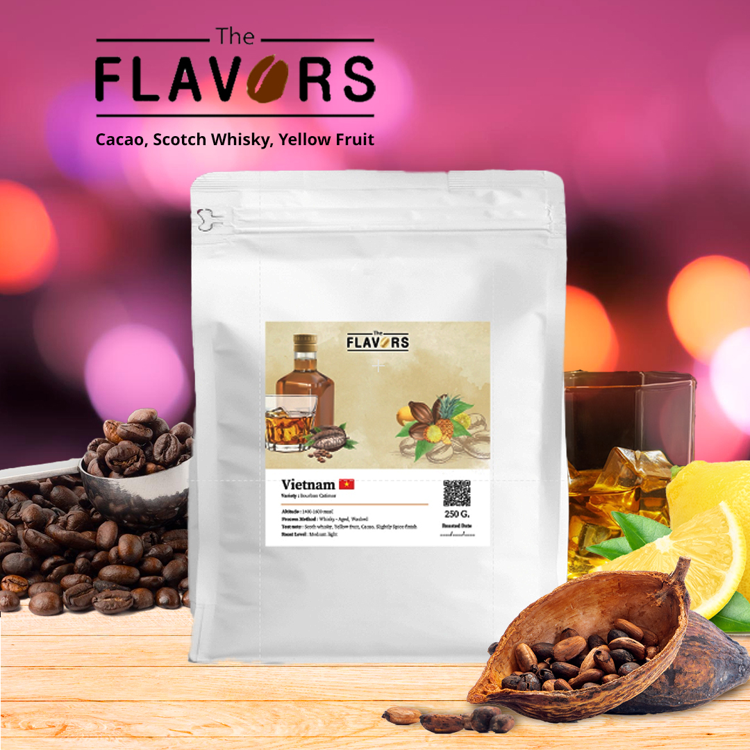 เมล็ดกาแฟคั่วกลางอ่อน เวียดนาม 100, 250 ก. วิสกี้ โกโก้ เยลโล่วฟรุ๊ต สไปซ์ Specialty Coffee Beans ราคา 319 บาท*ส่งฟรี