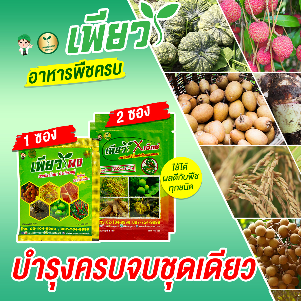 Agricultural Partner, Nourishes, Prevents Insect and Fungal Diseases, Pure Powder + Purex, Plant Supplements, Powdered Fertilizer, Liquid Fertilizer, Organic Substances, Pure Agriculture. ราคา 749 บาท*ส่งฟรี