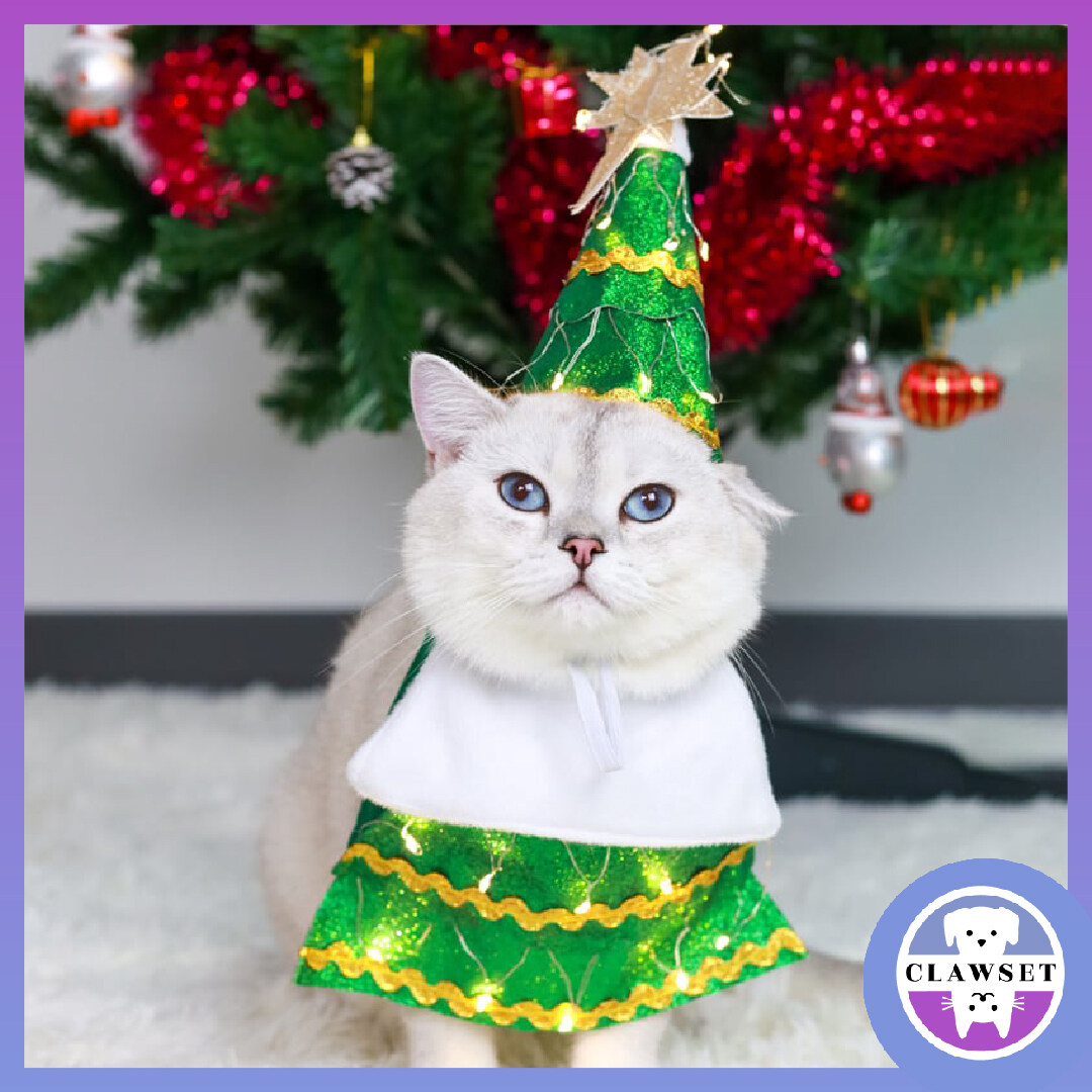 ชุดแฟนซีหมาแมว ชุดคอสตูมต้นคริสต์มาส ระยิบระยับ คอสตูมคริตส์มาสสัตว์เลี้ยง | Clawset.bkk ราคา 690 บาท*ส่งฟรี