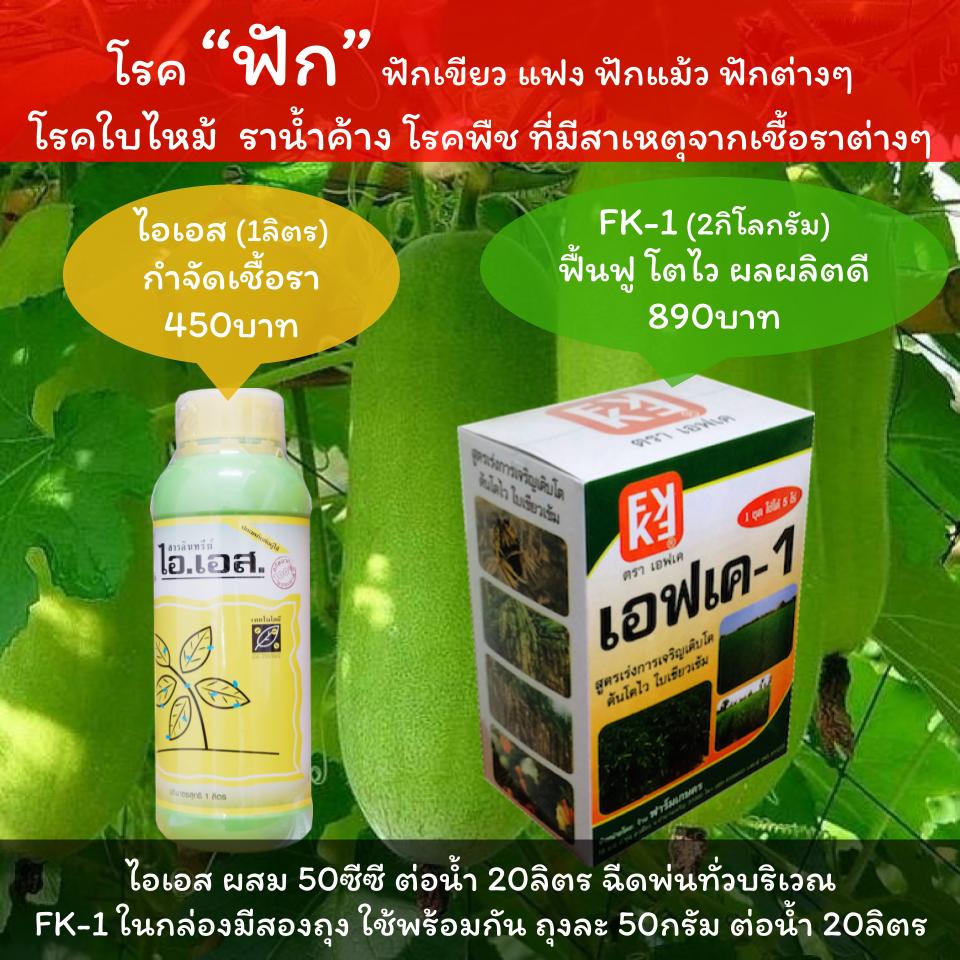 IS prevents and eliminates fungal diseases + FK-1 Liquid Fertilizer for Growth Acceleration - (Green) ราคา 450 บาท*ส่งฟรี