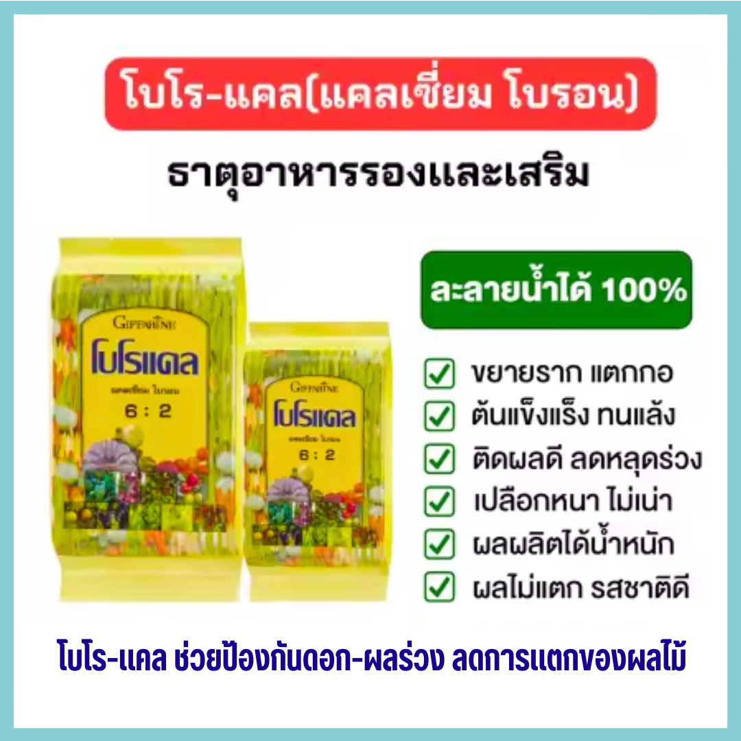 Broo-calkiffarine calcium chelate and boron stimulate root breakage, resulting in drought-resistant plants, sticky poles, reducing flowering loss, strengthening pollination. ราคา 330 บาท*ส่งฟรี