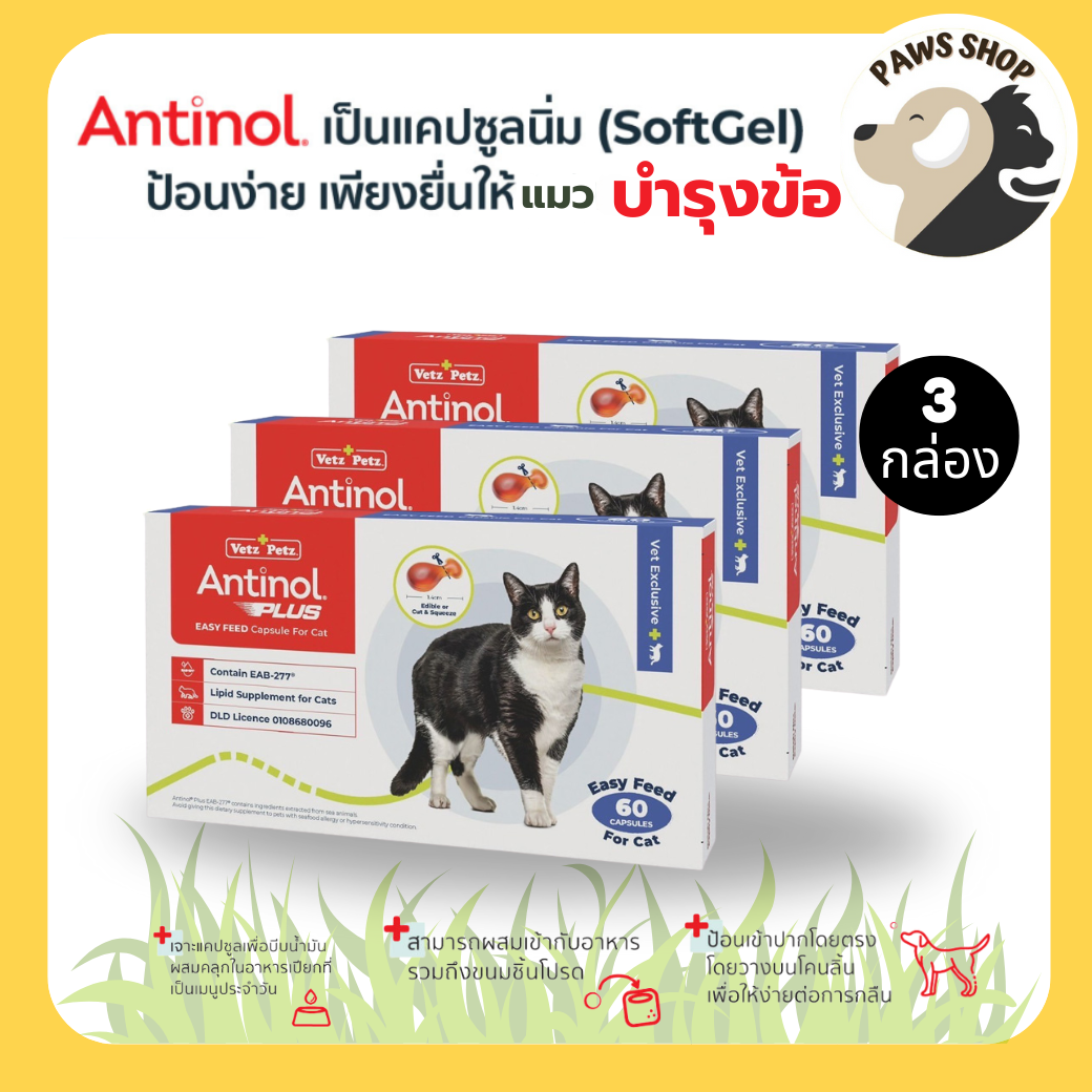 Antinol Cat Antinol, Fat Supplement for Joint Care for Cats, 3 Boxes (120 Tablets) Vetz Petz ราคา 4,985 บาท*ส่งฟรี
