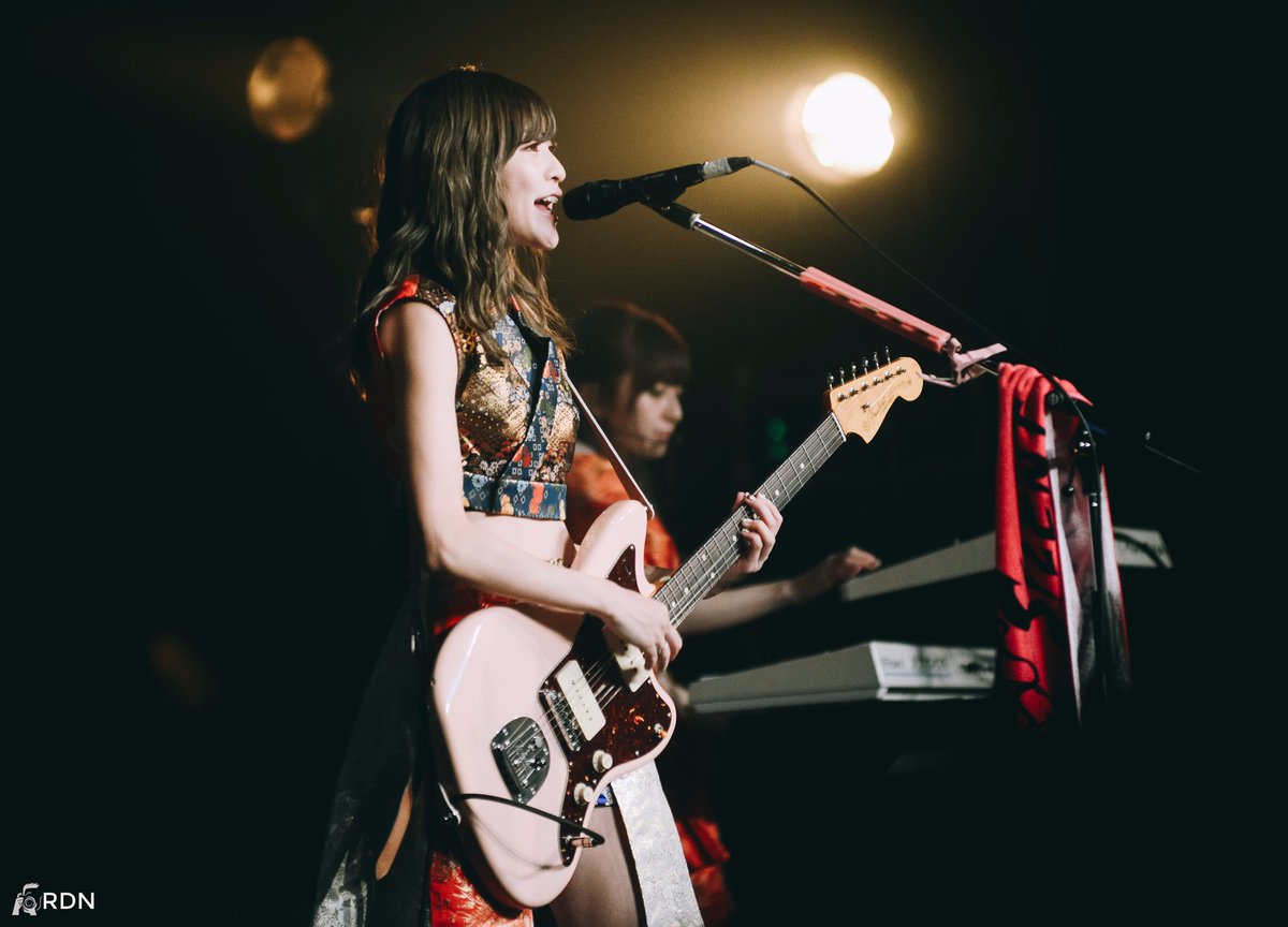 Yoshida　ブランドの通販・買取　Signature　Fender　その他　Artist　Pick　Sumire　(72pcs/pack)【送料無料】【O