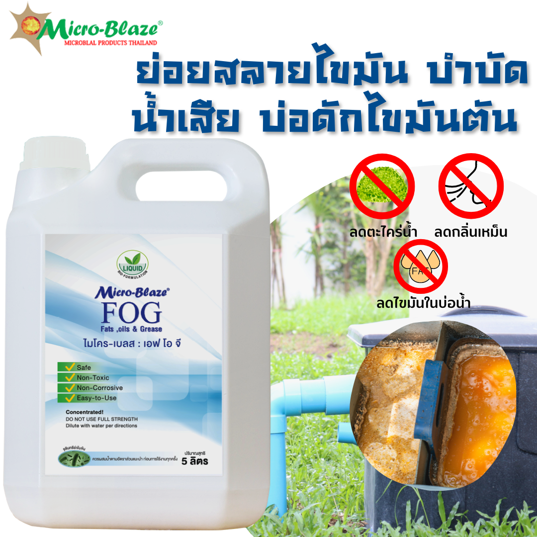 Micro-Blaze F.O.G 5 ลิตร หัวเชื้อจุลินทรีย์สกัดเข้มข้น ย่อยสลายไขมัน อุดตันท่อน้ำทิ้ง บ่อดักไขมัน กลิ่นเหม็นตีย้อน ซิ้งค์ล้างจาน ไขมันในท่อ ราคา 6,700 บาท*ส่งฟรี