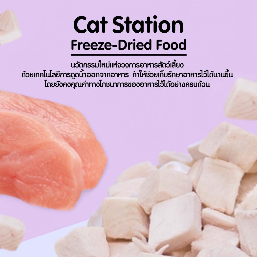 Cat Station อาหารแมว Freezed Dried ทำจากเนื้อสัตว์แท้ 100% มี 3 รสชาติ ไก่ / เป็ด / ปลาแซลมอน อาหารแมวเฉพาะทาง อาหารแมวแบบแห้ง อาหารสัตว์ ราคา 59 บาท*ส่งฟรี