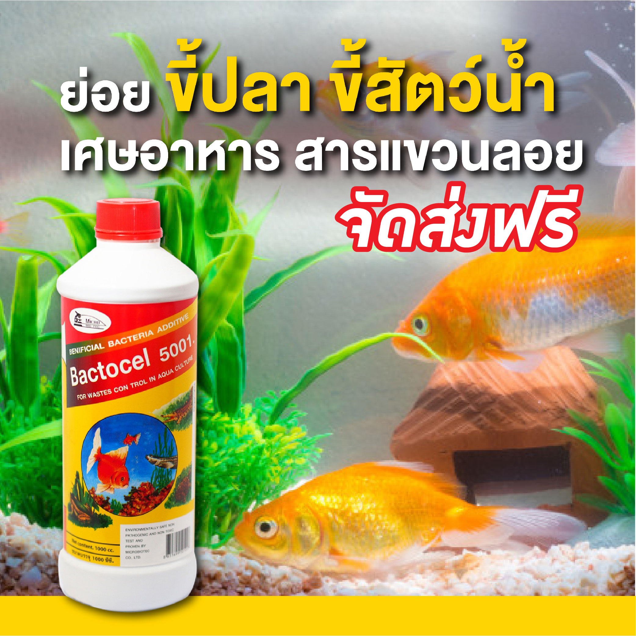 แบคโตเซล 5001 1000cc 5 ขวด จุลินทรีย์น้ำใสในบ่อปลา ปลาสวย น้ำใส จุลินทรีย์บ่อปลา ยาใส่บ่อปลา จุลินทรีย์ปรับสภาพน้ำในบ่อ ลดแอมโมเนีย ไนไตรท ราคา 1,009 บาท*ส่งฟรี