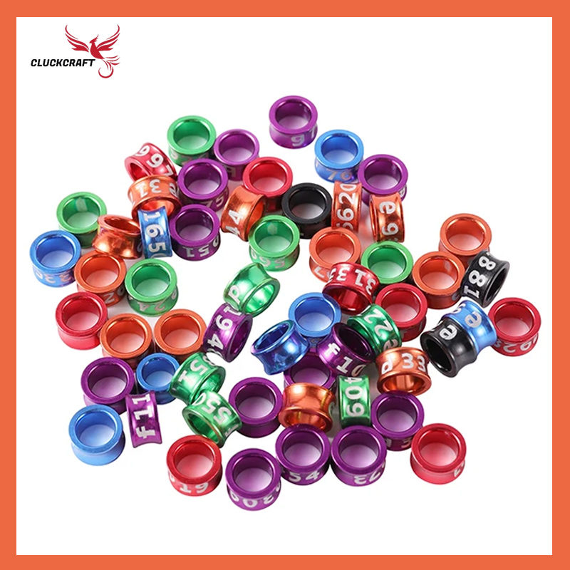 CluckCraft ห่วงขานก ห่วงขานกแก้ว ห่วงขานกกรงหัวจุก 4/5/6/7/8mm 10ชิ้น สีตามสุ่ม ทำจากอลูมิดนียมน้ำหนักเบา สำหรับฟอพัส หงษ์หยก อุปกรณ์นกแก้ว ราคา 37 บาท*ส่งฟรี