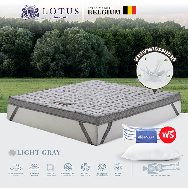 LOTUS ที่นอนยางพาราแน่นสบาย รุ่น Forestex III - Light Gray หนา 4 นิ้ว ฟรีหมอนหนุนสุขภาพ ส่งฟรี ราคา 3,040 บาท*ส่งฟรี