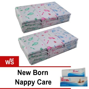 All MOMs ผ้าอ้อมผ้าสาลู 2 แพ็ค 24 ชิ้น ฟรี New Born Nappy Care