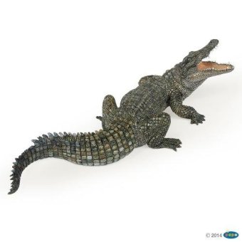 Papo โมเดลจระเข้ Nile Crocodile Papo โมเดลจระเข้ Nile Crocodile