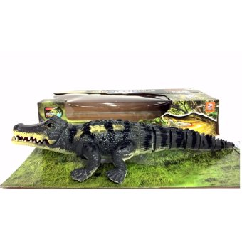 จรเข้ เคลื่อนไหว 3D (มีเสียง มีไฟ เดินได้ อ้าปากได้ สบัดหางได้) จรเข้ เคลื่อนไหว 3D (มีเสียง มีไฟ เดินได้ อ้าปากได้ สบัดหางได้)