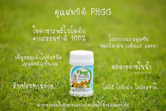 Fiber Mate Kiddy ท้องผูกจะหายไป ปลอดภัยตั้งแต่แรกเกิด ไฟเบอร์เมท คิดดี้ 60กรัม (2ขวด) Fiber Mate Kiddy ท้องผูกจะหายไป ปลอดภัยตั้งแต่แรกเกิด ไฟเบอร์เมท คิดดี้ 60กรัม (2ขวด)