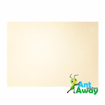 แผ่นรองกันมด AntAway แบบหนา: สีครีม ขนาด 30 cm x 42 cm แผ่นรองกันมด AntAway แบบหนา: สีครีม ขนาด 30 cm x 42 cm