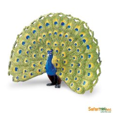 Safari Ltd. โมเดลสัตว์ Peacock