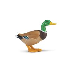 Safari Ltd. โมเดลสัตว์ SF Duck Safari Ltd. โมเดลสัตว์ SF Duck