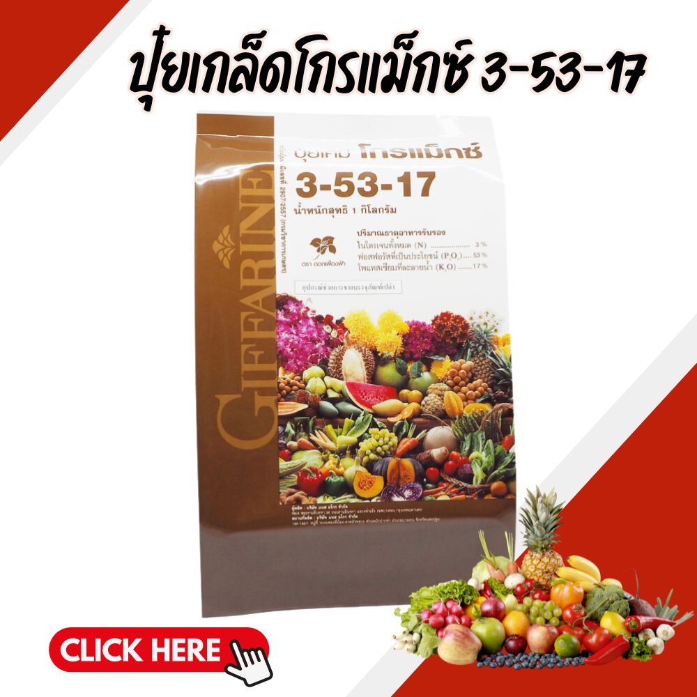 ปุ๋ย ปุ๋ยกิฟฟารีน โกรแม็กซ์ สูตร 3-53-17 เพิ่มดอก ป้องกันดอกผลร่วง ขยายราก สะสมอาหารเพื่อสร้างดอก ราคา 406 บาท*ส่งฟรี