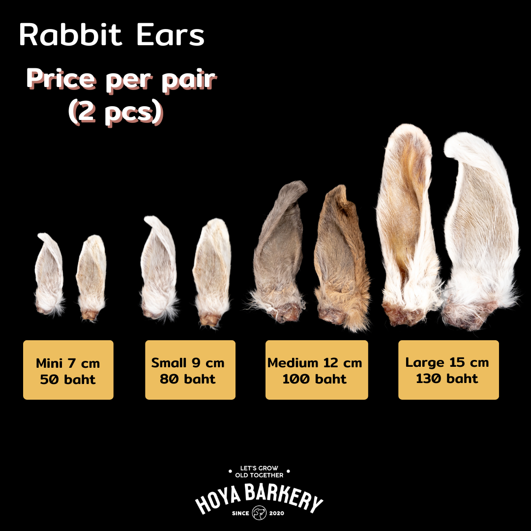 Uk Rabbitears 40be3618557ad96f2d7de29a3db11a72.png